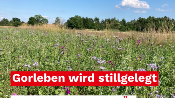 Gorleben wird stillgelegt, SPD Gregor
